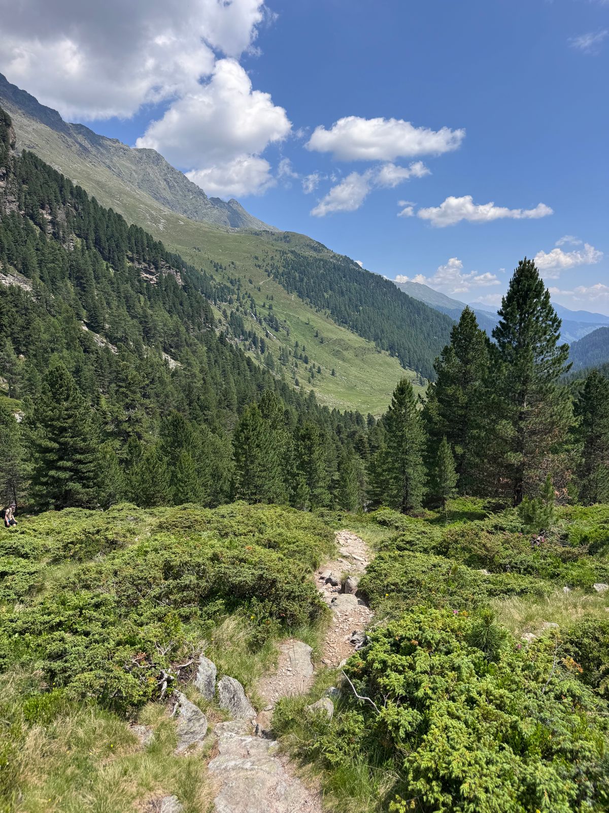 Wanderweg durch eine alpine Landschaft mit Blick auf bewaldete Berge